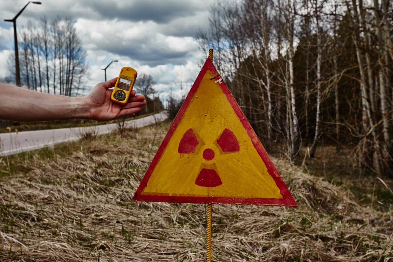 red forest radiation chernobyl now photo