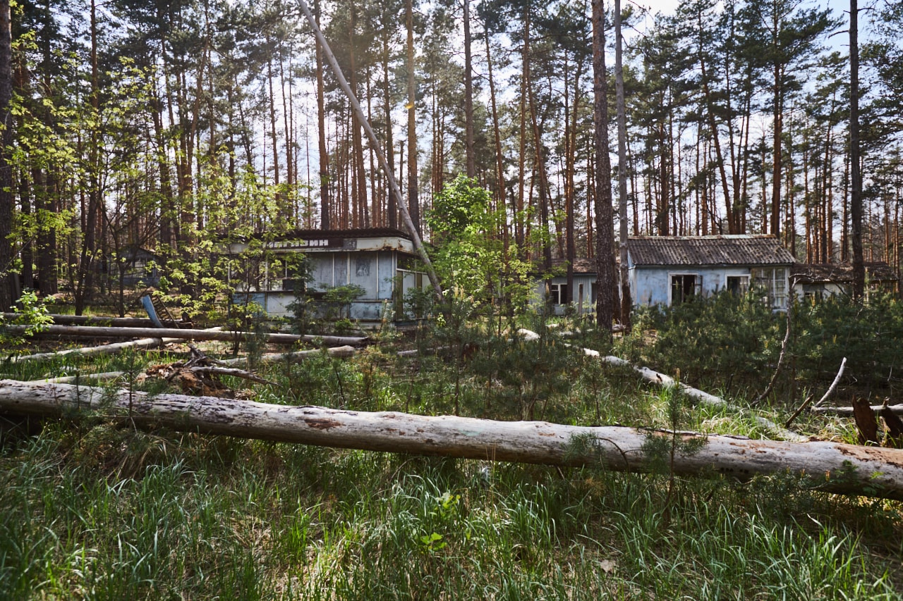 Zalissya village nature photo Chernobyl